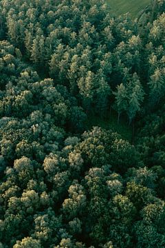 Luchtfoto van mooi groen bos in Limburg, Nederland van Studio Rood