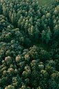 Luchtfoto van mooi groen bos in Limburg, Nederland van Studio Rood thumbnail