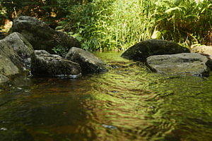 In der Steinklamm bei Spiegelau in Bayern 1
