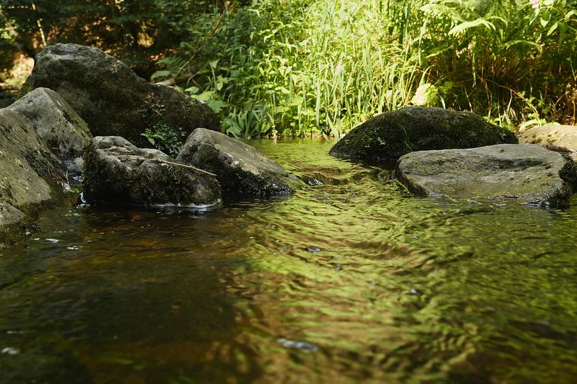 In the Steinklamm gorge near Spiegelau in Bavaria 1 by Jörg Hausmann