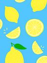 Summer Lemons by Sam Soesbergen thumbnail