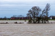 Hoog water van Jim van Iterson thumbnail