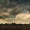 Paysage de bruyère après une averse d'été sur Erna Böhre