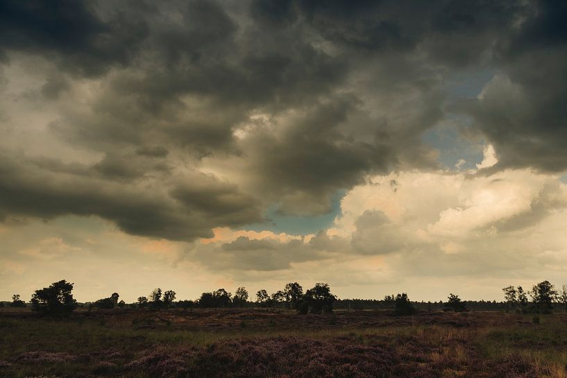 Heidelandschaft nach einem Sommerregen von Erna Böhre