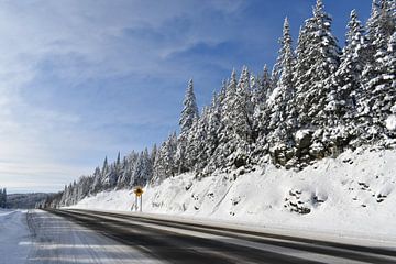 Eine Landstraße im Winter unter blauem Himmel von Claude Laprise