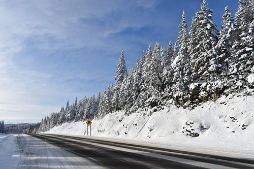 Een landweggetje in de winter onder een blauwe hemel