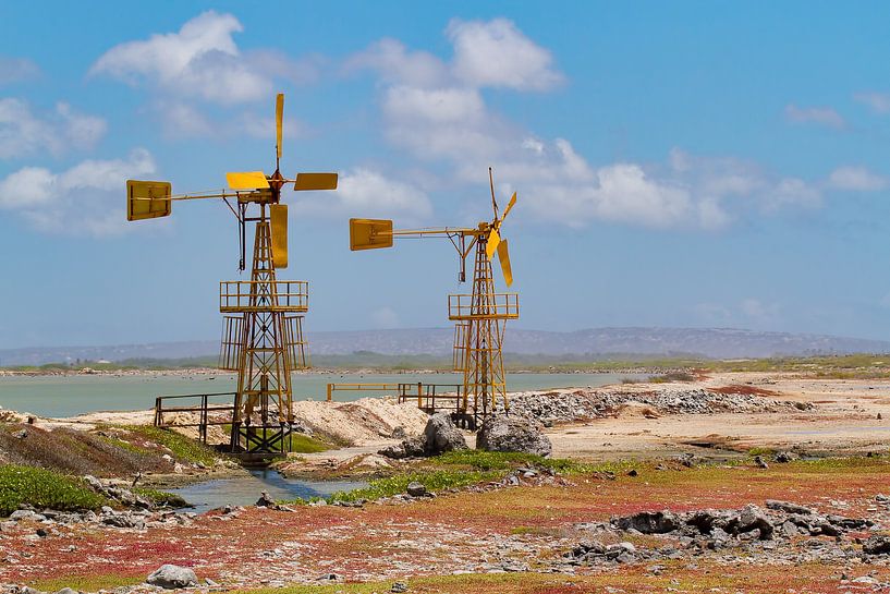 Deux moulins à vent jaunes pour la production de sel sur l'île de Bonaire par Ben Schonewille
