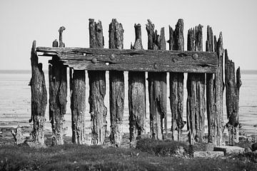 Anciennes piles du barrage flottant près de Moddergat (Frise, Les Pays-Bas)) sur Michel Geluk