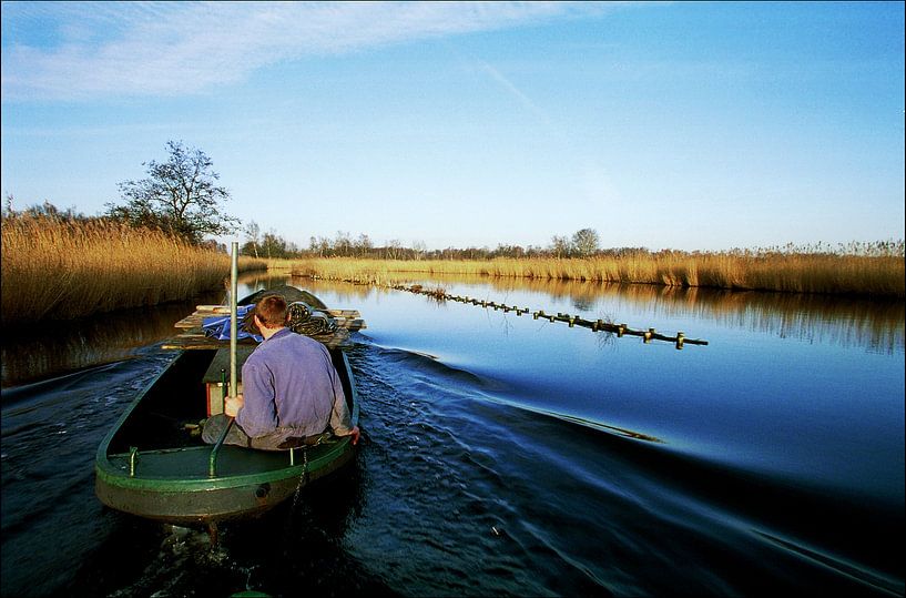 Werk in het riet van Henny Boogert