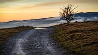 Wafts of mist by Andre Michaelis thumbnail