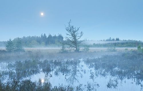 Ein blauer Montag...