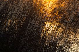 Avond bij Kinderdijk van Adrie Lagendijk