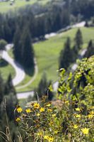 View from the mountain