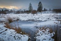 Sneeuw in de Hoge Venen