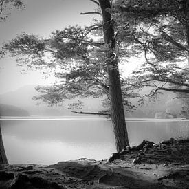 Loch an Eilein by Dorit Fuhg