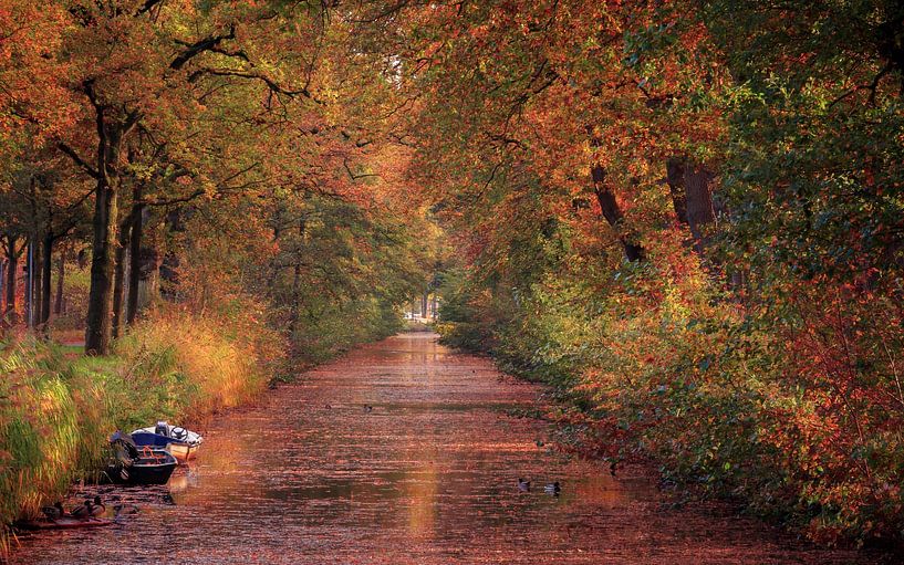 Autumn atmosphere in Slochteren by Marga Vroom