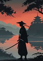 de eenzame Ronin