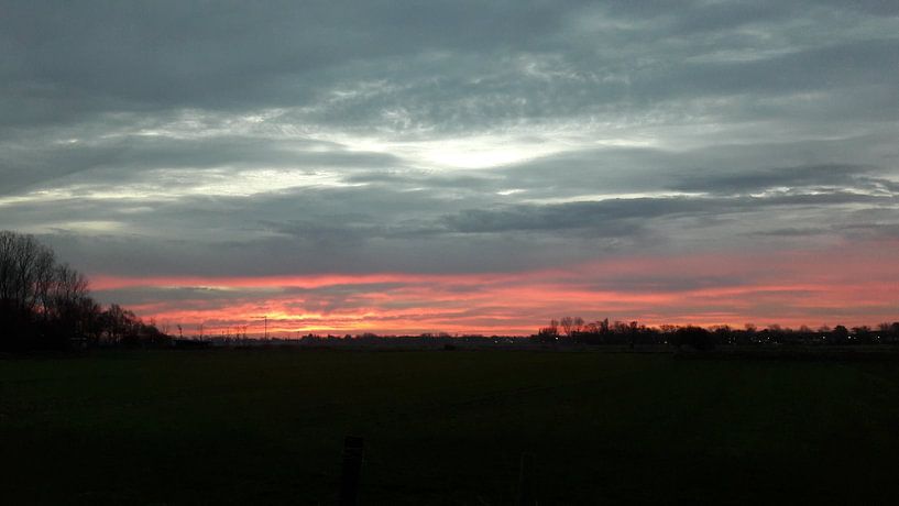 red line par chris goedhart