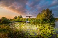 The Mills of Kinderdijk