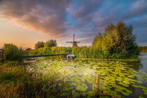 Les moulins à vent de Kinderdijk
