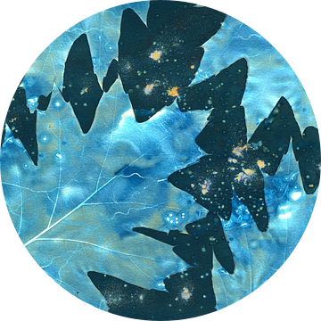 Abstracte natte cyanotypie van bladeren van de Amerikaanse eik van Retrotimes