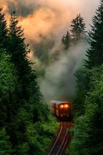 Steam locomotive runs through cloud forest by Poster Art Shop