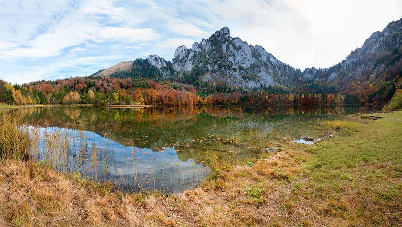 beau lac Laudachsee, paysage de marais au mont Grunberg,  par SusaZoom