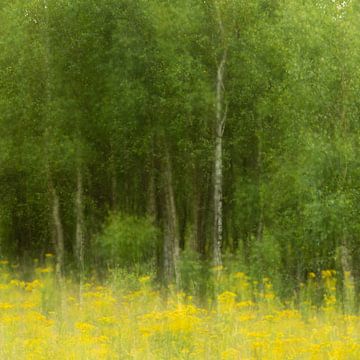 Schilderachtig bos van Ed van der Reek