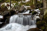 Wasserfall im Ötzi-Tal von Hans Kool Miniaturansicht