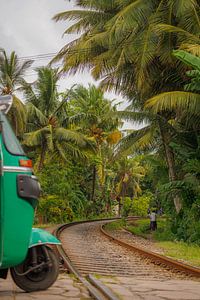 Die Zugstrecken in Sri Lankas Landschaft sind weltberühmt und super fotogen.