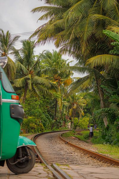 Die Zugstrecken in Sri Lankas Landschaft sind weltberühmt und super fotogen. von Patrick Fotografeert