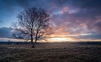 colorful sky van René Vierhuis thumbnail
