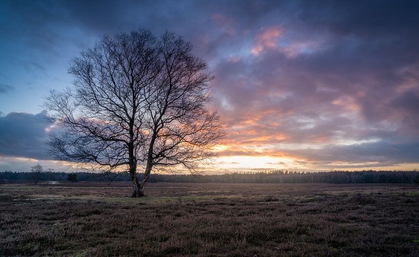 colorful sky van René Vierhuis