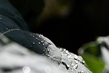 Na regen komt zonneschijn van Eline Huizenga