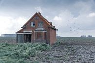 Verlaten huis in een akker van Klaas Leussink thumbnail