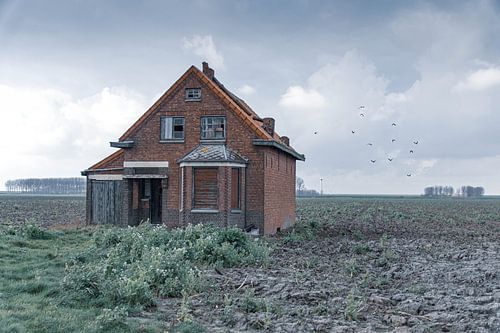 Abandoned house in a field