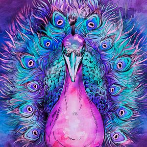 Japanischer Pfau