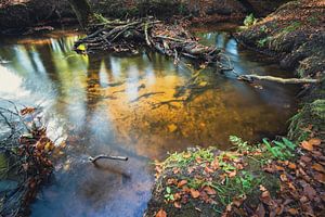 Le long du Staverdense Beek