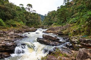 Rivier Ranomafana