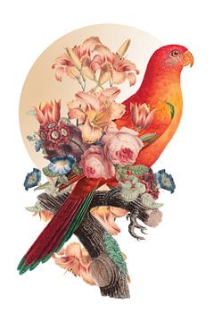 Orange Parrot von Marja van den Hurk