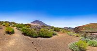 Chemin du Teide