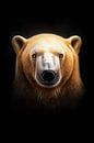 Polar Bear Head Portrait by Beeld Creaties Ed Steenhoek | Photography and Artificial Images thumbnail