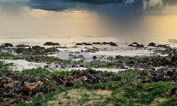 Strand zonsondergang