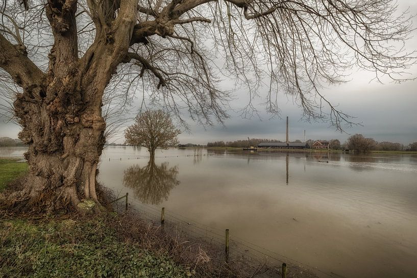 Flooding of river Lek near Ravenswaaij by Moetwil en van Dijk - Fotografie