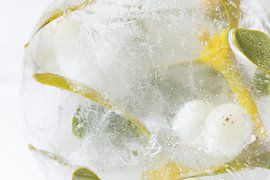 Mistletoe in crystal clear ice 2 by Marc Heiligenstein