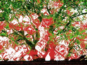 Tree Magic 136-C