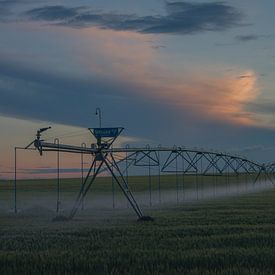 Canadese Pivot (beregening) in zuid Alberta sur Linda van der Veer