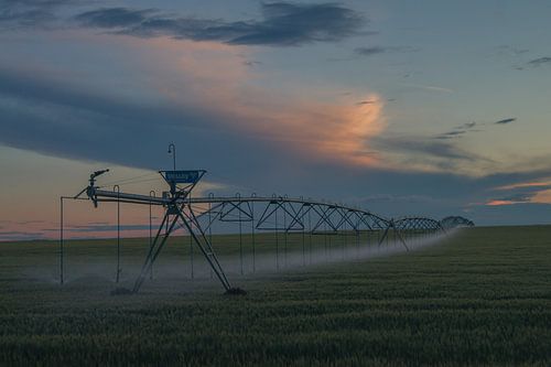 Canadese Pivot (beregening) in zuid Alberta