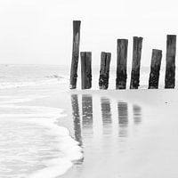 WACHTERS IN DE WIND - GUARDS IN THE WIND