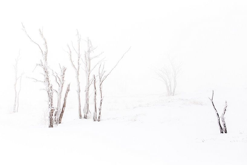 Winter in the High Fens by Antwan Janssen
